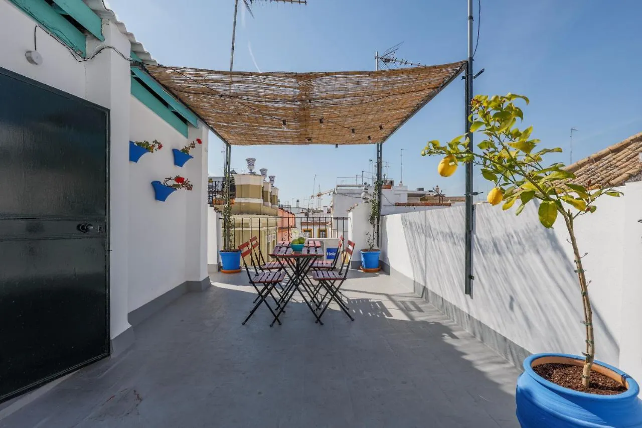 San Diego Alto Seville