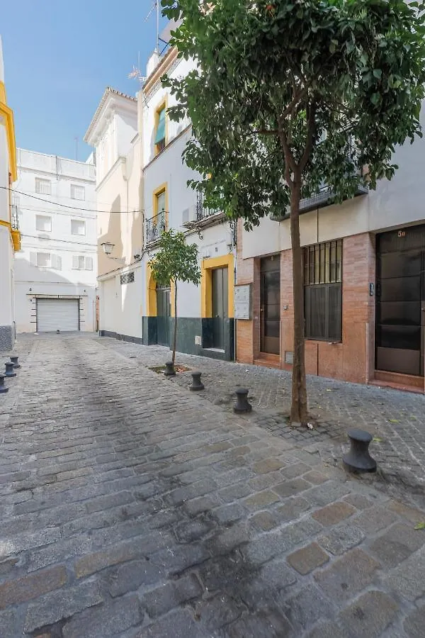 San Diego Alto Seville
